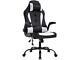 ProHT 95001 Ergonomic Massage Gaming Chair with Adjustable Headrest Pillow, Padd